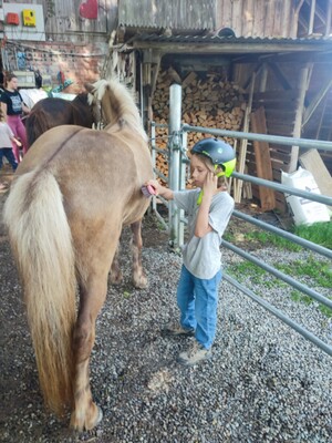 Pony,Böglihof (7).jpg